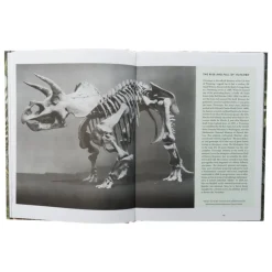 Dinosaurs are collectible