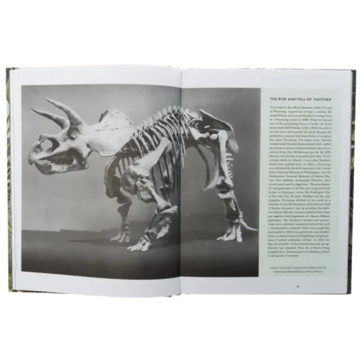 Dinosaurs are collectible