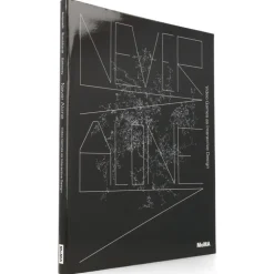 Never Alone : Video Games as Interactive Design