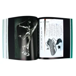 Peter Moore Sneaker Legend
