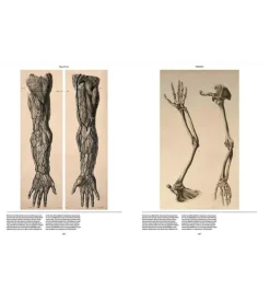 Anatomica, The Exquisite and Unsettling Art of Human Anatomy
