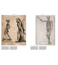 Anatomica, The Exquisite and Unsettling Art of Human Anatomy