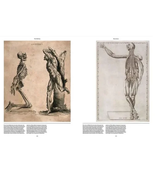 Anatomica, The Exquisite and Unsettling Art of Human Anatomy