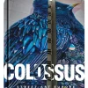 Colossus - Street Art Europe