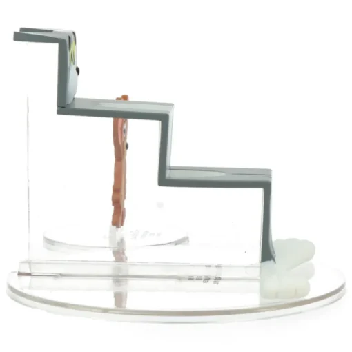 Figurine UDF Tom & Jerry Pressed