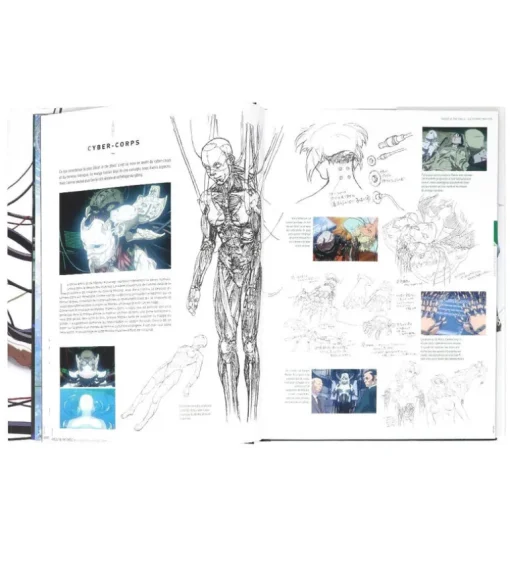 Ghost in the Shell, the perfect book