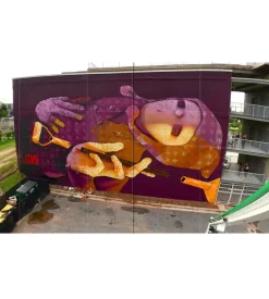 INTI - La Monographie
