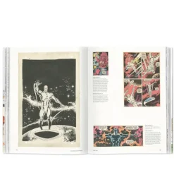 L'ère des comics Marvel 1961-1978 40th Anniversary Edition