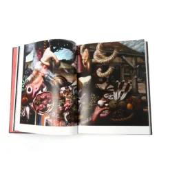 Massa Confusa: The Art of Christian Rex Van Minnen