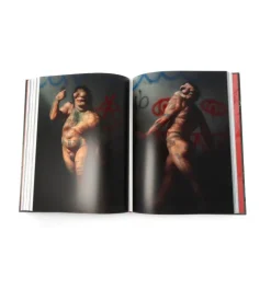 Massa Confusa: The Art of Christian Rex Van Minnen
