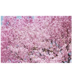 Mika Ninagawa : Into Fiction/Reality