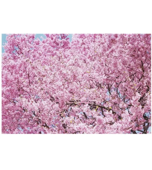 Mika Ninagawa : Into Fiction/Reality