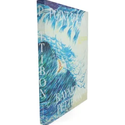 Point Break - Raymond Pettibon