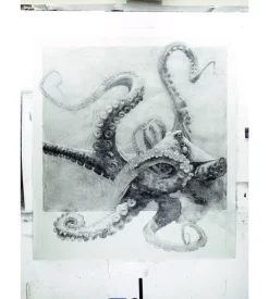 Quentin Garel - Monographie