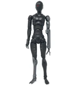 TOA Heavy Industries - 1/6 Anti CaRB and Reprogrammed Body
