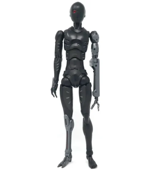 TOA Heavy Industries - 1/6 Anti CaRB and Reprogrammed Body