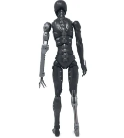 TOA Heavy Industries - 1/6 Anti CaRB and Reprogrammed Body