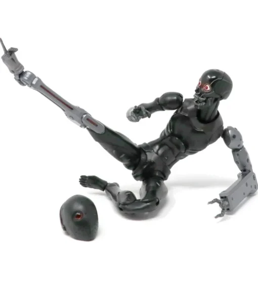 TOA Heavy Industries - 1/6 Anti CaRB and Reprogrammed Body